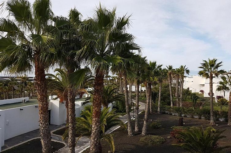 Palmeras Garden