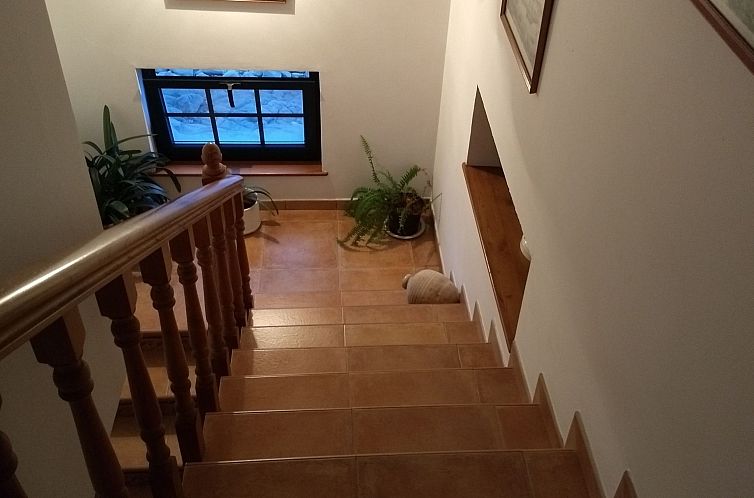 Appartement Almacen Wohnung