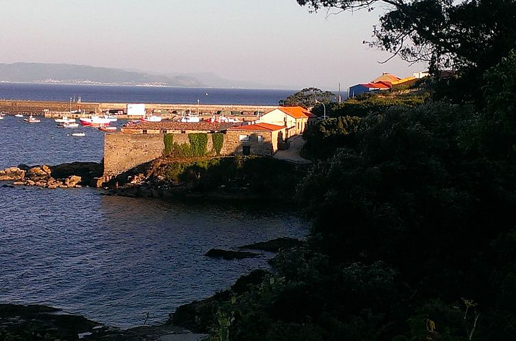 Unterkunft 21150903 - Appartement Das Grüne Spanien - Appartement Almacen Wohnung