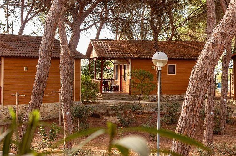 Camping Playa Las Dunas