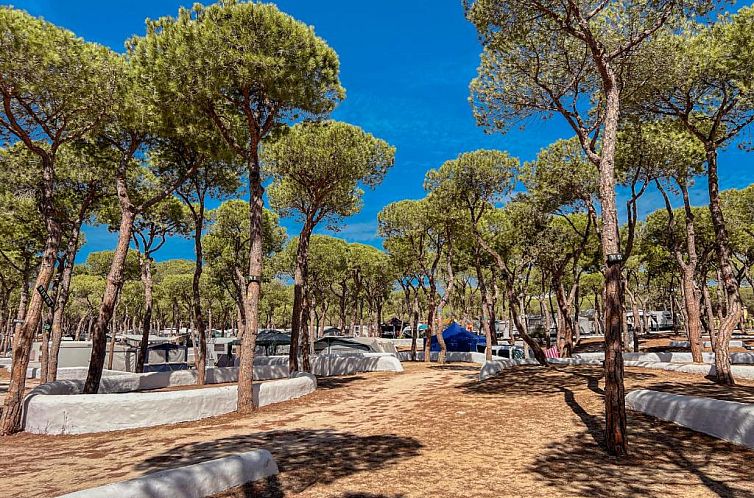 Camping Playa Las Dunas