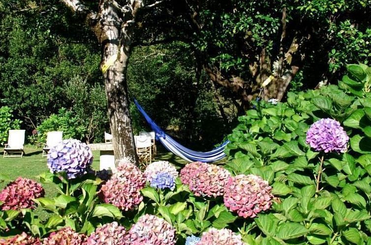 Vakantiehuis NATUR IN IHRER REINSTEN FORM