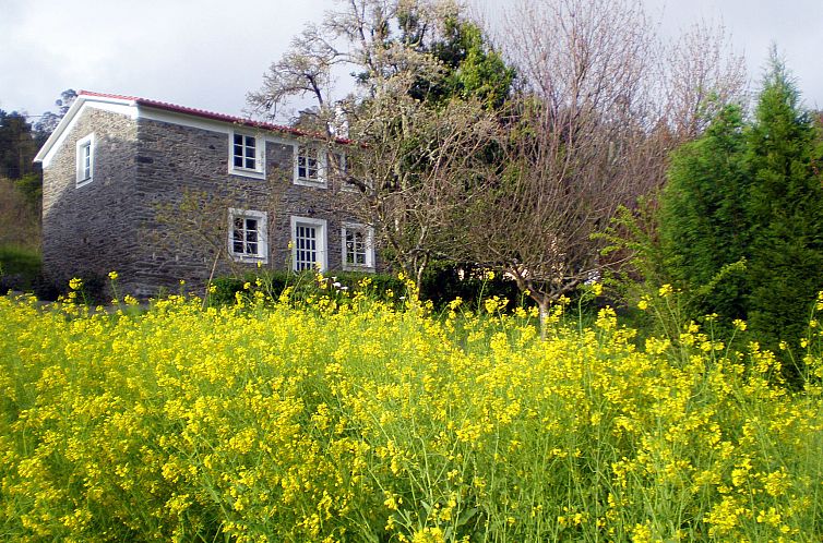 Vakantiehuis El Olivo