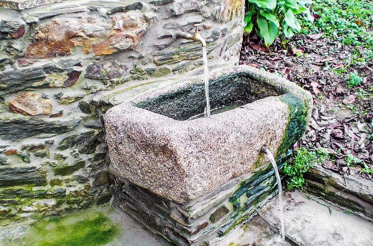 Vakantiehuis El Olivo