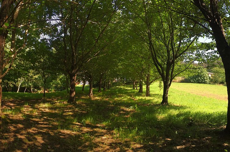 Vakantiehuis El Olivo