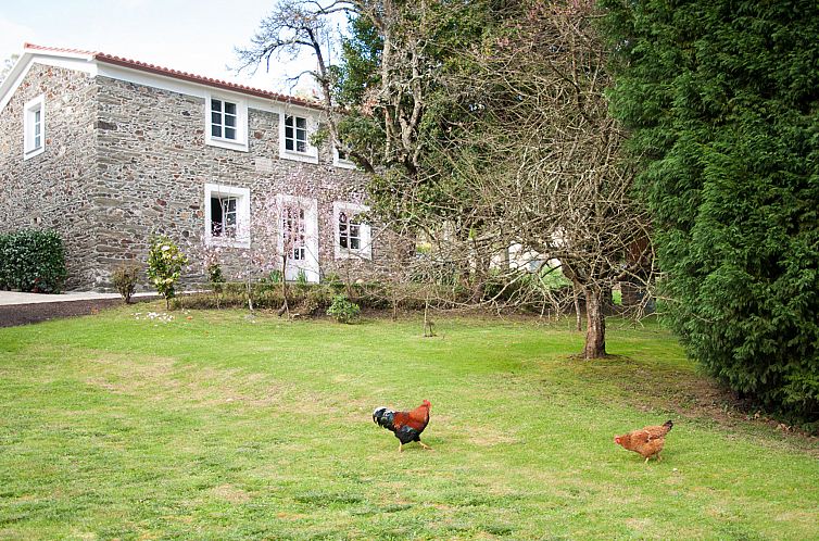 Vakantiehuis El Olivo