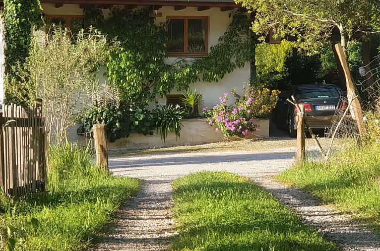 Unterkunft 21158802 - Ferienhaus Das Grüne Spanien - San Cipriano 2