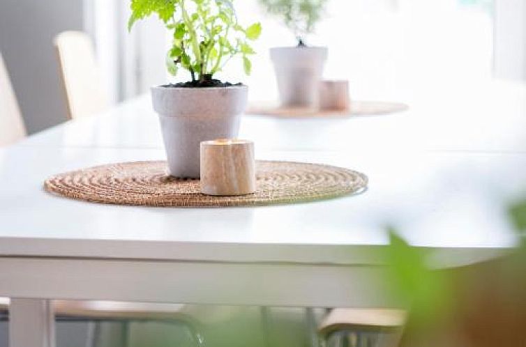 Linnéplatsens Hotell & Vandrarhem