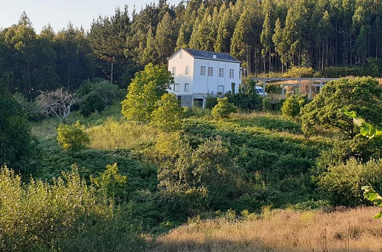 Geniessen Sie die Ruhe und das Gruen rund um das Ferienhaus in San Sadurnino, das im malerischen Gruenen Spaniens liegt.