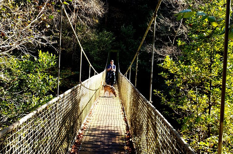 Vakantiehuis in San Sadurnino