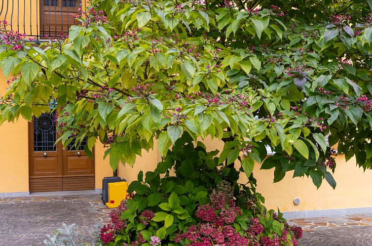 Appartement La Corleta di Sot