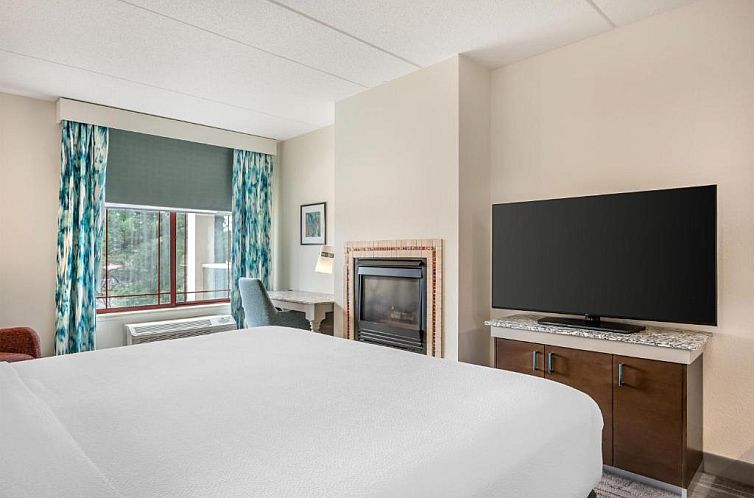 Hilton Garden Inn Wisconsin Dells
