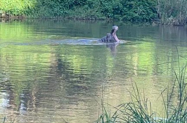 Hippo Water Front Lodge