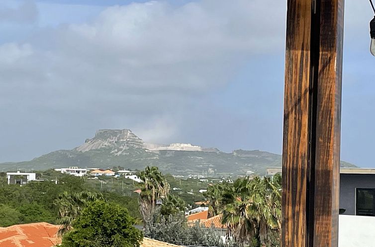 Vrijstaande woning in Willemstad