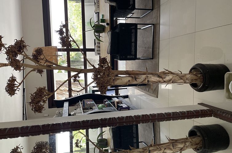 Vrijstaande woning in Willemstad