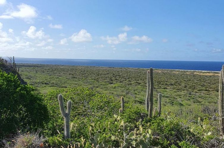 Vrijstaande woning in Willemstad