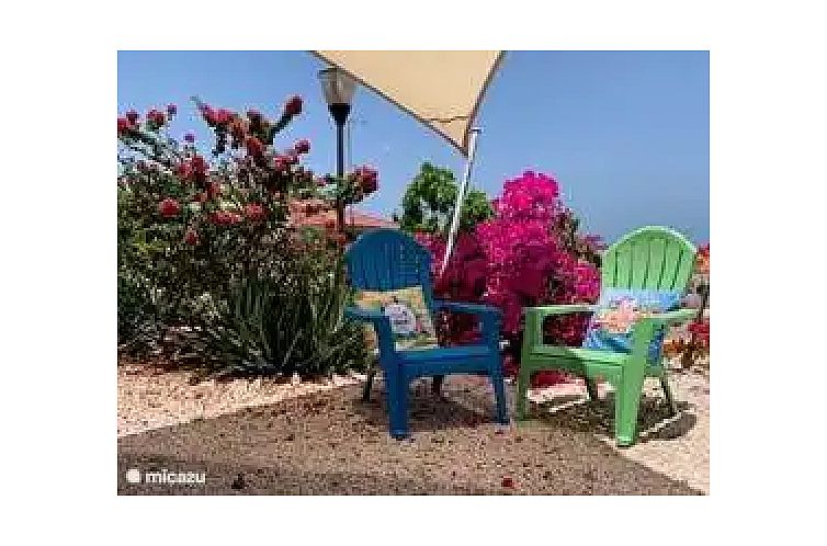 Sonrisa Curaçao, Solo