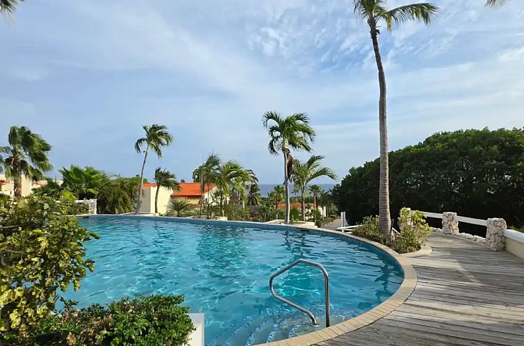 Royal Palm Resort 18 B