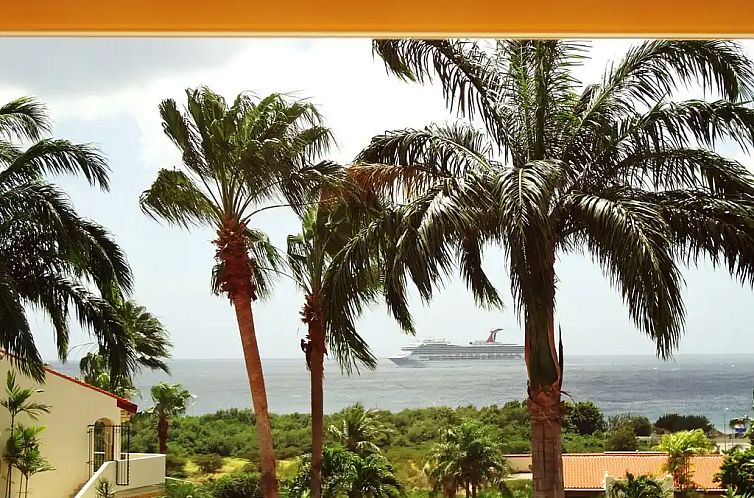 Dushipalm