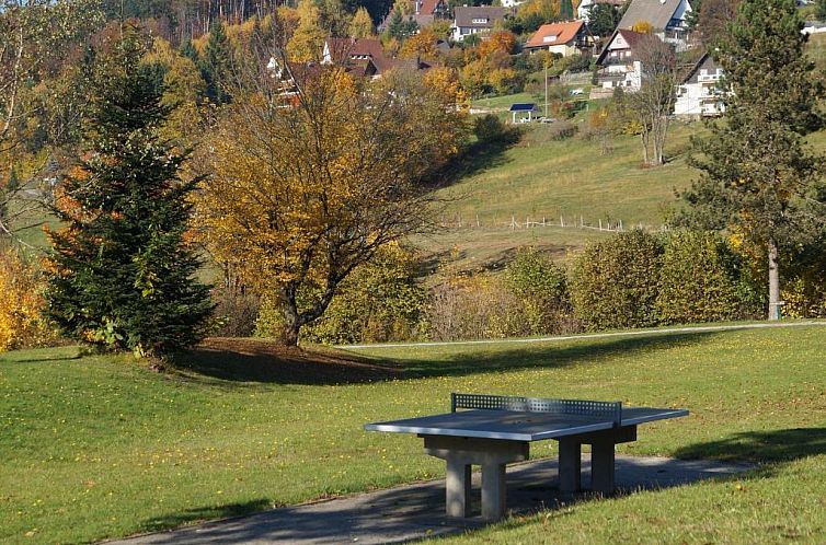 Terrassenpark Apartments