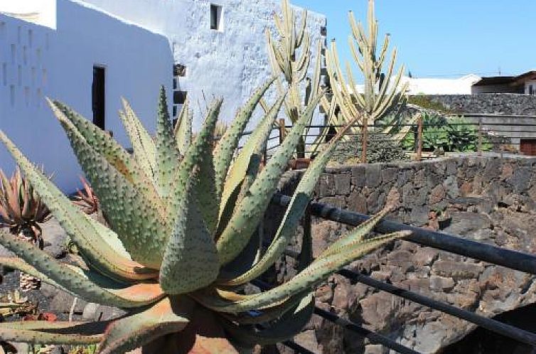 Casa Rural Finca Isabel