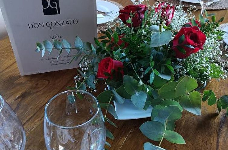 Hotel Don Gonzalo