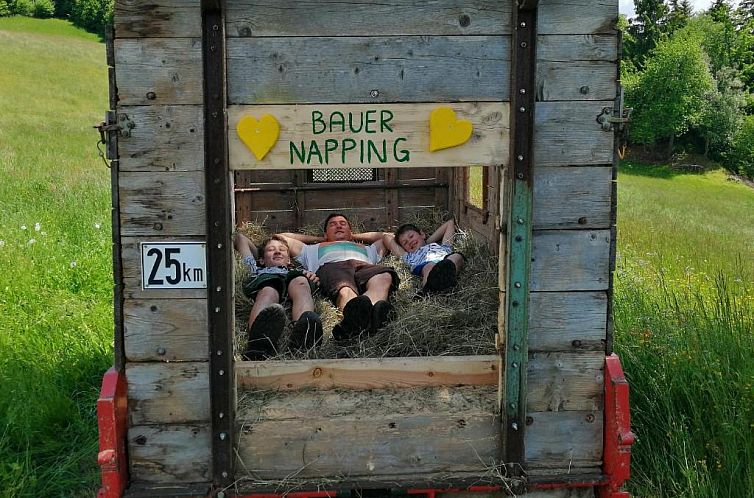 Bergbauernhof Stauder