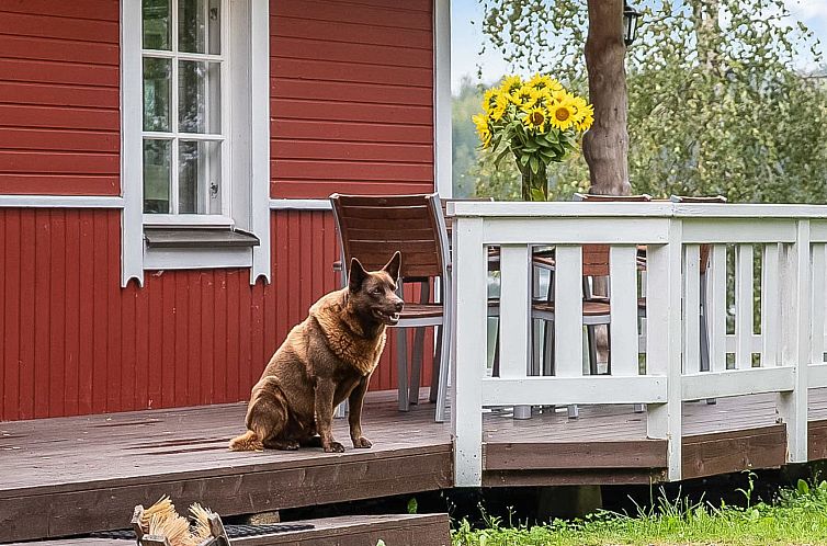 Vakantiehuis Tuomaantupa