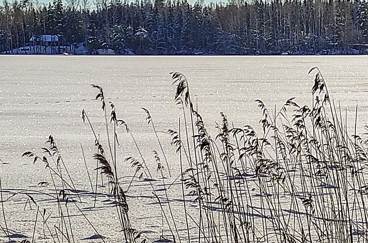 Vakantiehuis Annelinniemi