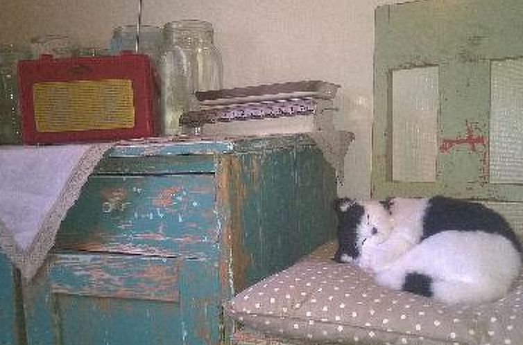 Vakantiehuis Villa vuorenpää