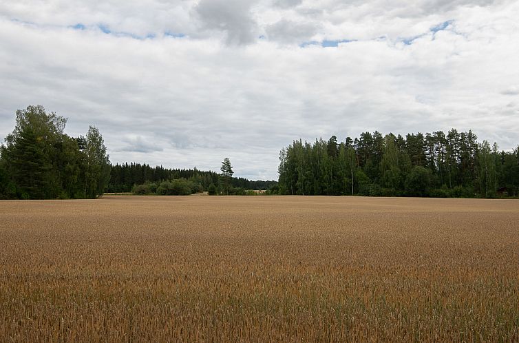 Vakantiehuis Virtaan väentupa