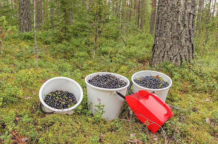 Vakantiehuis Villa ebba