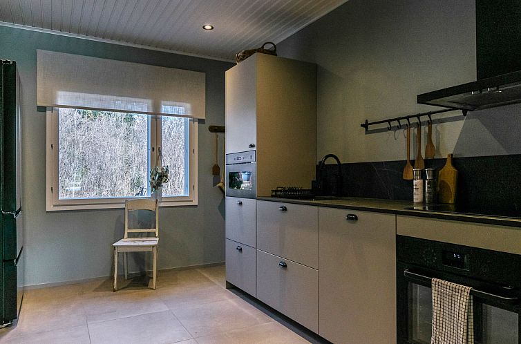 Vakantiehuis Virtaan tainio