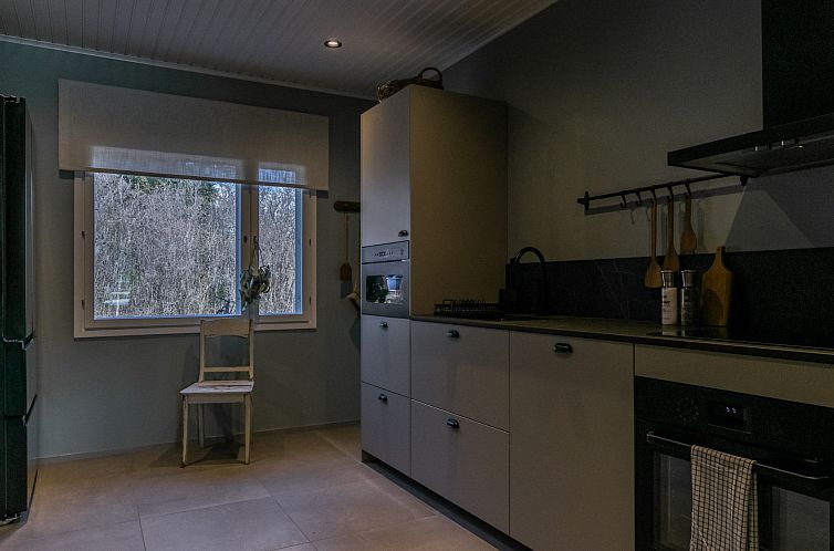 Vakantiehuis Virtaan tainio