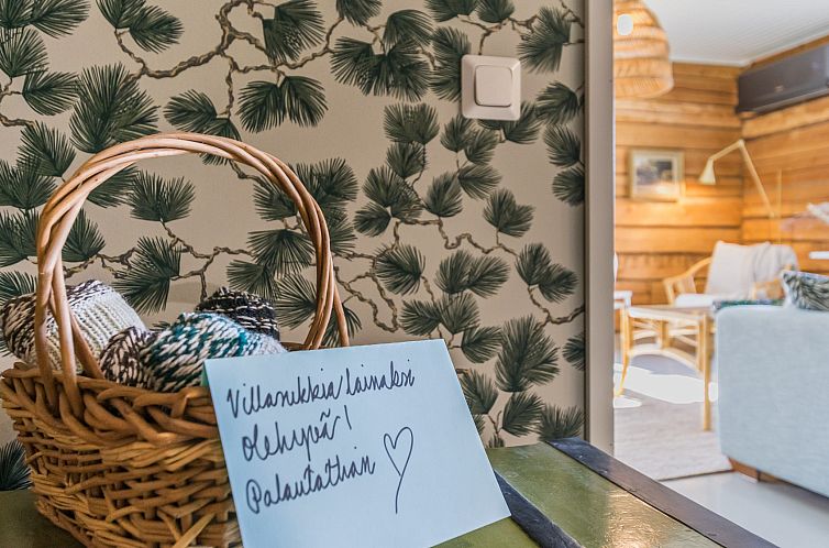 Vakantiehuis Virtaan tainio
