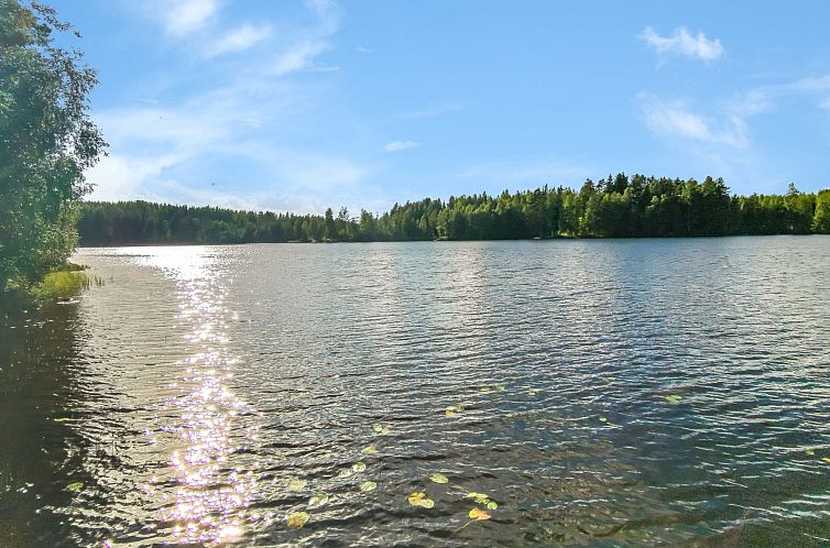 Vakantiehuis Mäntyniemi