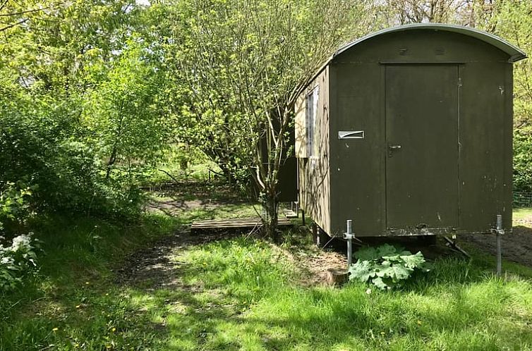Vakantiehuisje in Almere omringd door groene natuur in Zuidelijk Flevoland, ideaal voor natuurliefhebbers.