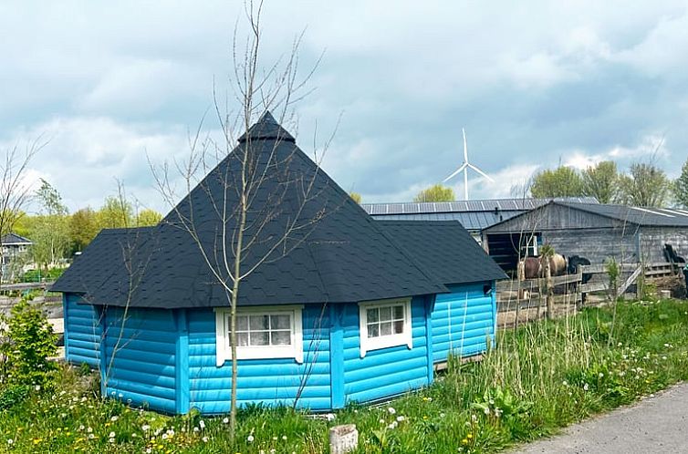Einzigartiges Ferienhaus in Almere, Sued-Flevoland, mit blauem Aeusseren und laendlicher Umgebung.
