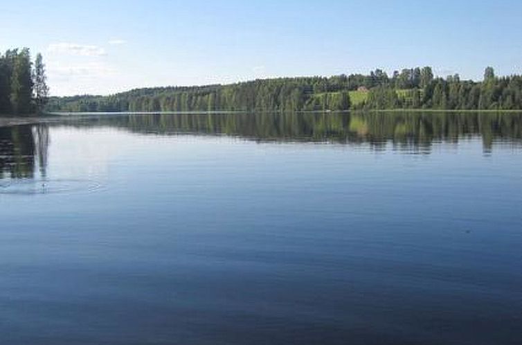 Vakantiehuis Viljamaan lomamökit 2