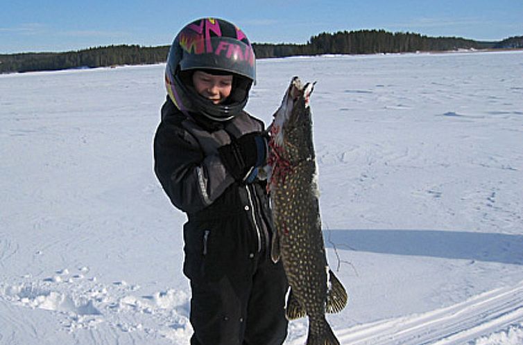 Vakantiehuis Viljamaan lomamökit 2