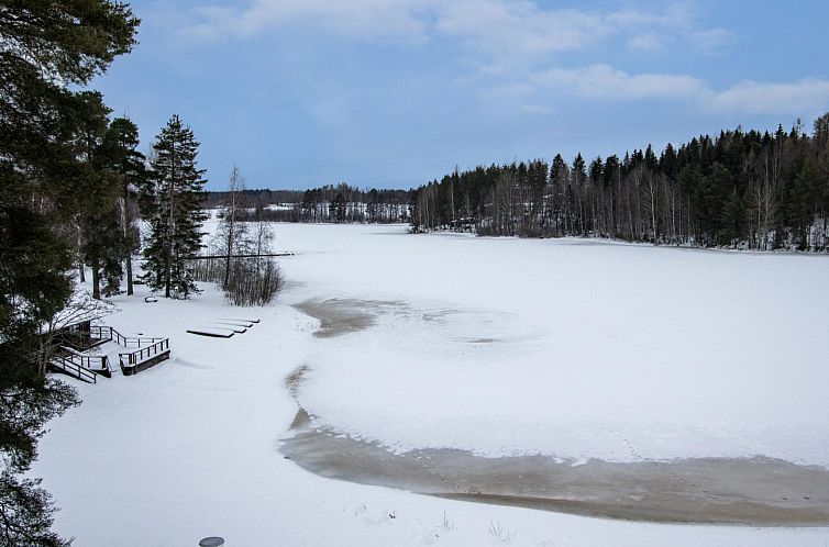 Vakantiehuis Kylpylä-hotelli, kekkosen sviitti, huone