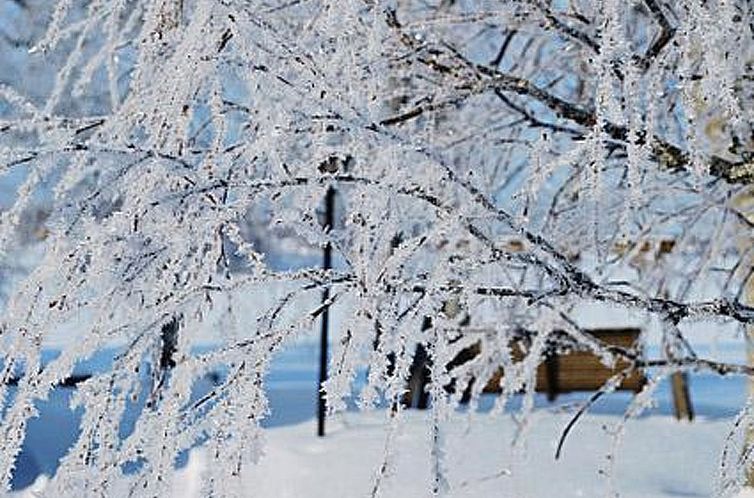 Vakantiehuis Villiruusu