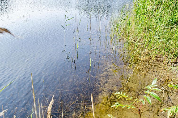 Vakantiehuis Kolin helmi 2