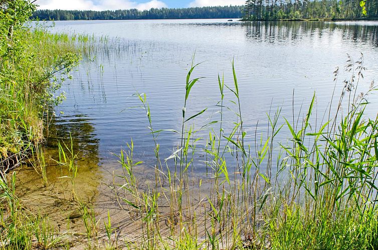 Vakantiehuis Kolin helmi 2