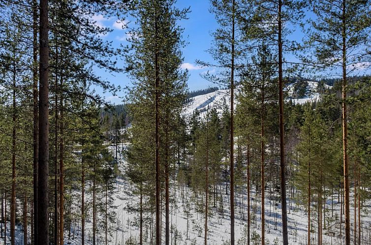 Vakantiehuis Vuokatti cabin 16