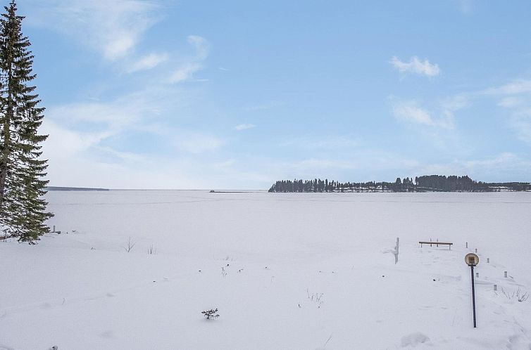 Vakantiehuis Vuokatti villas susi