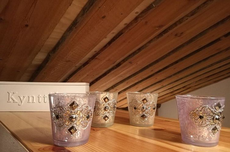 Vakantiehuis Vuokatinportti b 9