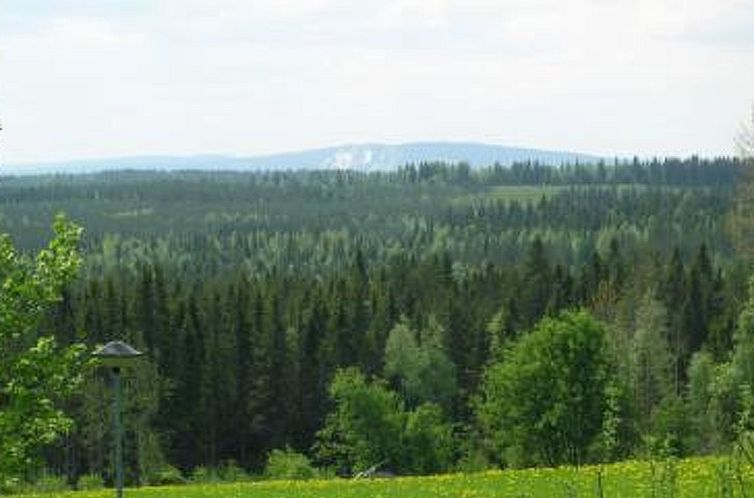 Vakantiehuis Vaaran loma-asunto
