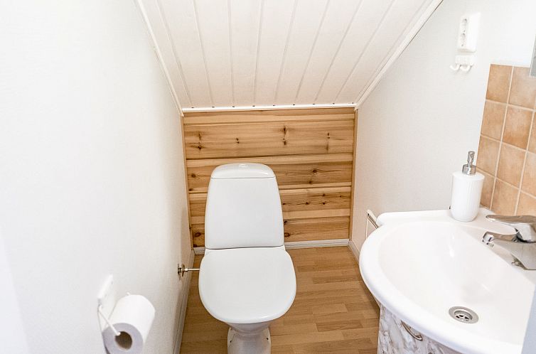 Vakantiehuis Vuokatin alma