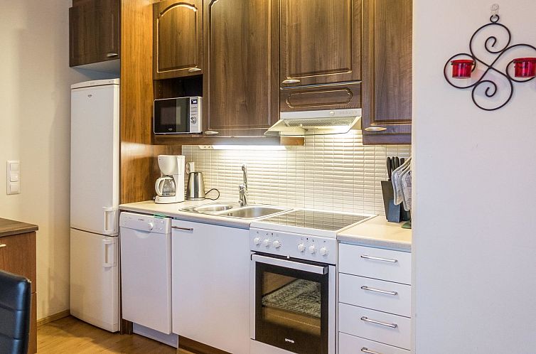 Vakantiehuis Vuokatin tähti